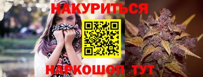 гидропоника Можга