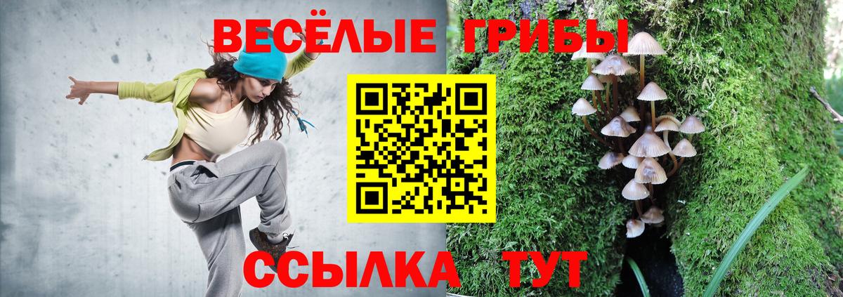 Псилоцибиновые грибы MAGIC MUSHROOMS  продажа наркотиков  Бугульма  Вход с VPN 